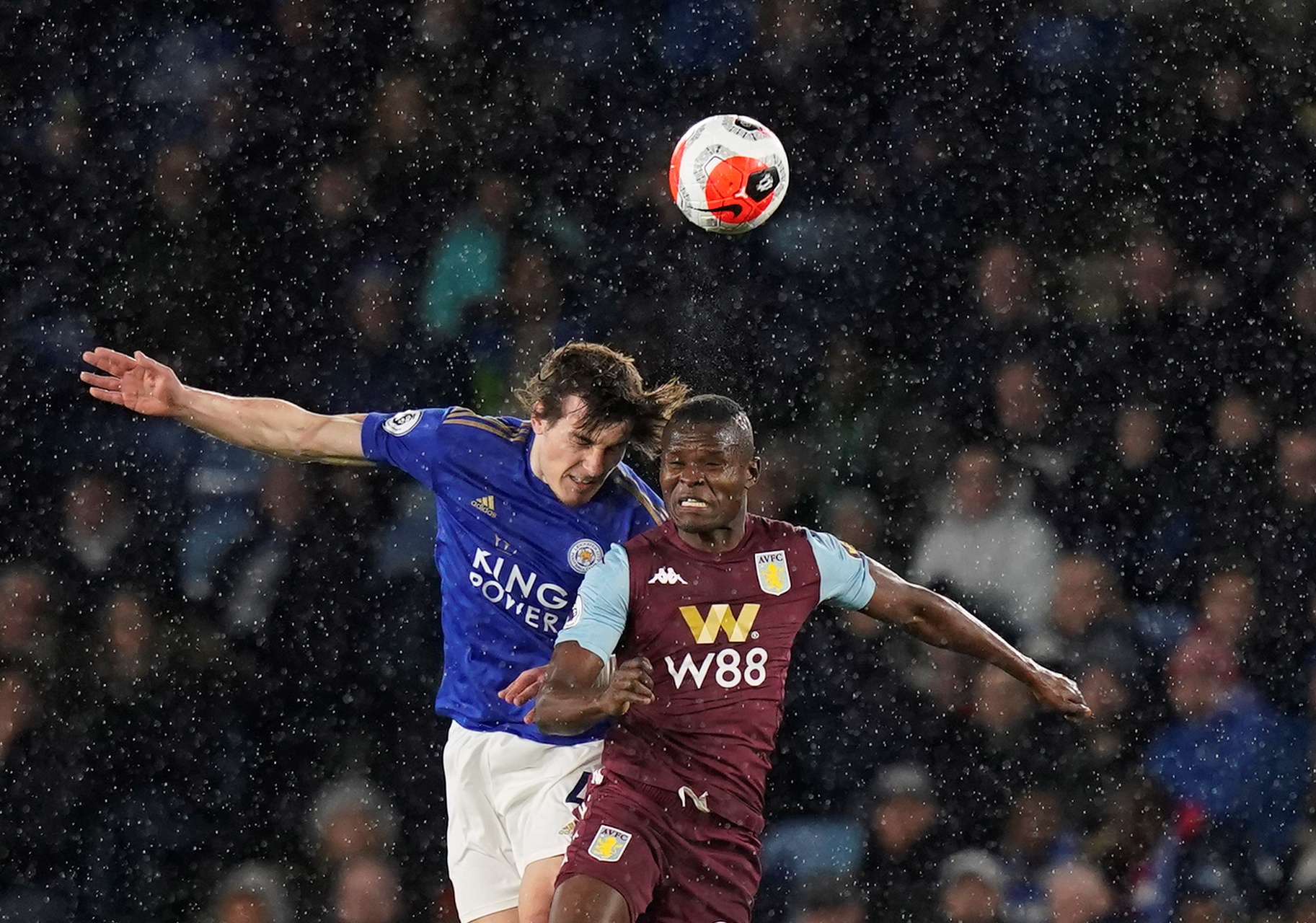 中极具观赏 中极具观赏